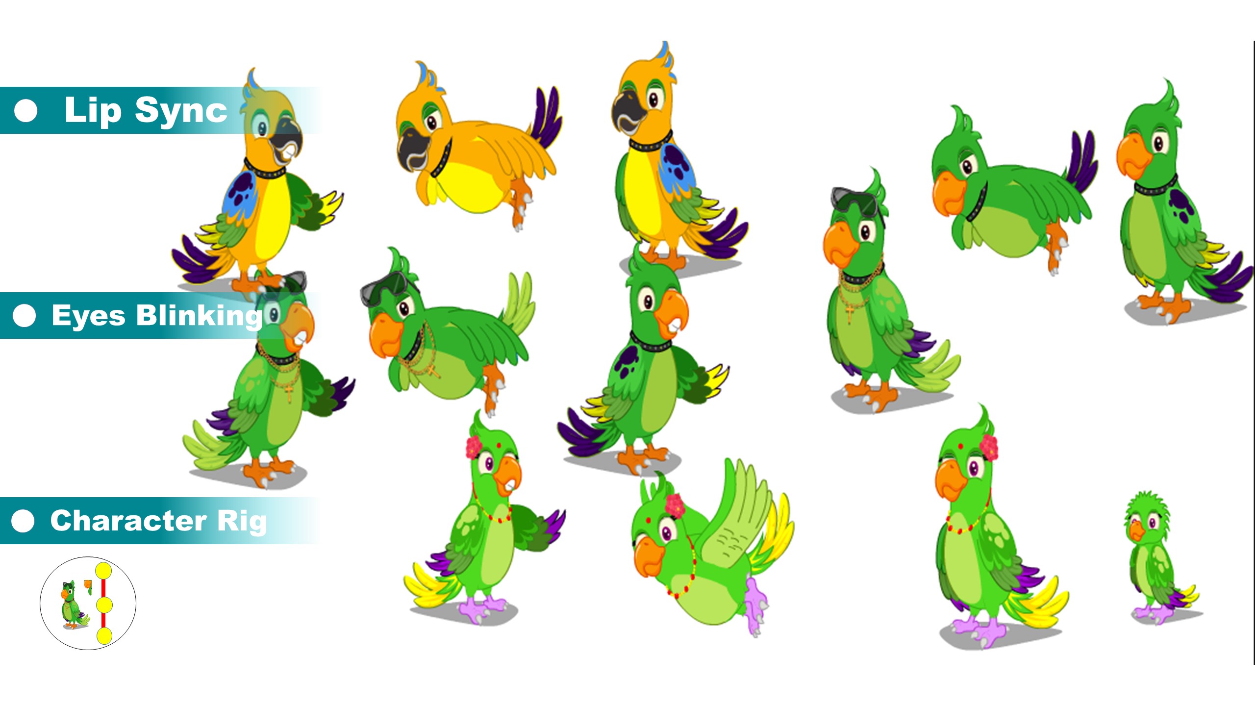 Parrot 4 Bundle Adobe Animate CC Bird Rigging Character β Editable Body Parts