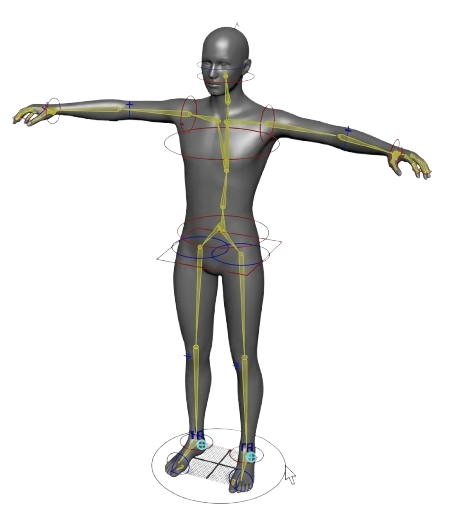 Rigging