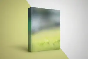 3D Book Mockup PSD & PNG Download – Realistic Book Cover Design | ToonVexa
