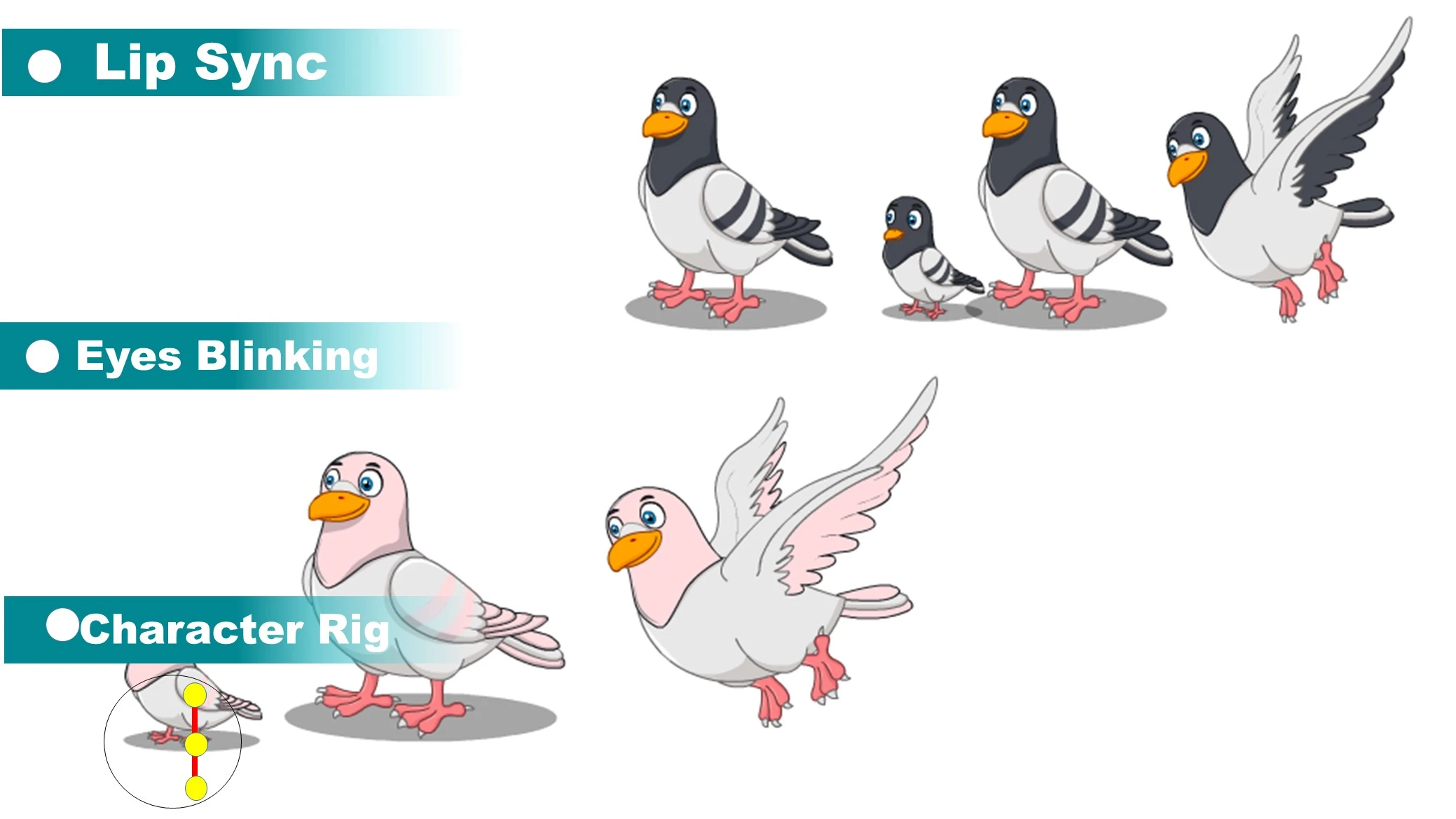 Pigeon Adobe Animate CC Cartoon Character Rigging | ToonVexa Download