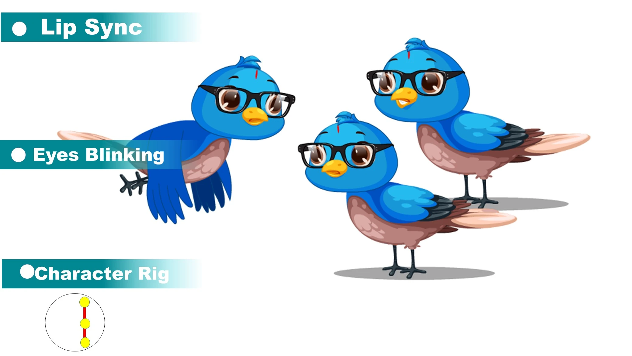 Bird Cartoon Character Rigging for Adobe Animate CC | ToonVexa