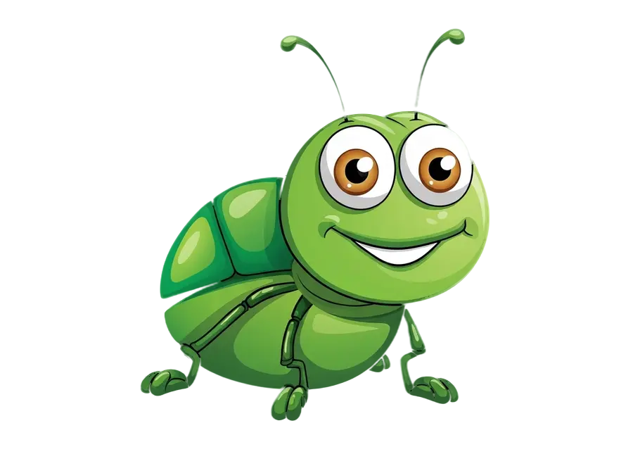 Insect